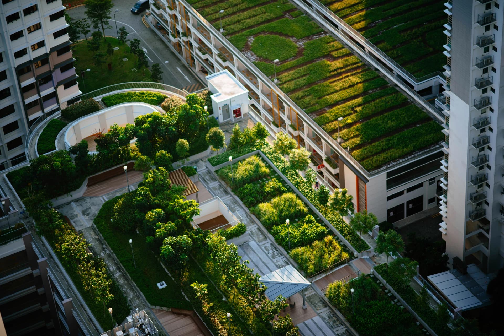 Sustainable green building surrounded by nature